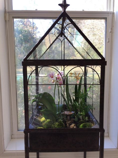 Diy Wardian Case Terrarium, Wardian Case Terrariums, Antique Terrarium, Victorian Terrariums, Large Glass Terrarium, Turtle Tank Setup, Terrarium Stand, Terrarium Succulent, Wardian Case