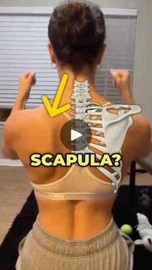 113K views · 4.9K reactions | 🎯Dealing with a winging scapula? Does your shoulder blade feel unstable and out of place? Full Shoulder Rehab + Mobility plan in @theptinitiative bio link) — The serratus anterior is responsible for keeping your scapula close to your rib cage when moving your arms. — This muscle along with the upper and lower traps help the shoulder blade to move correctly when lifting your arms overhead. — Weakness and decreased activity of the serratus anterior can lead to the shoulder blade losing control during certain movements  — Give these 3 exercises a try and start building some stability back in your shoulders. — ✅Need more help with this? Download my Shoulder Blueprint Program (link in bio) — #ShoulderImpingement #ShoulderPain #scapularwinging | Dr. Adam McCluskey Scapula Movement, Scapula Exercises, Winged Scapula, Serratus Anterior, Build Shoulders, Shoulder Rehab, Shoulder Impingement, Losing Control, Shoulder Massage