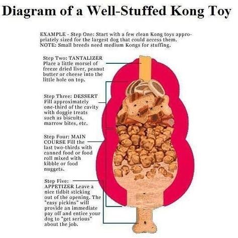 Kongs! Every dog owners best friend! Great bordom buster, slow feeder, and mental stimulator. Here's a great diagram showing how to stuff a Kong with diffetent layers and textures so that it lasts longer and keeps your dog engaged!.There are tons of different Kong recipes you can Google. Scroll for a couple ideas of different things you can use. I like using canned tripe, liver, and chicken feet. Yum! ➡️➡️➡️.Be sure to use a Kong big enough for them to get their tongue inside. Notice the "de Puppy Time, Kong Toys, Dog Enrichment, Puppy Treats, Mental Training, Pet Hacks, Dog Recipes, Puppy Care, Homemade Dog