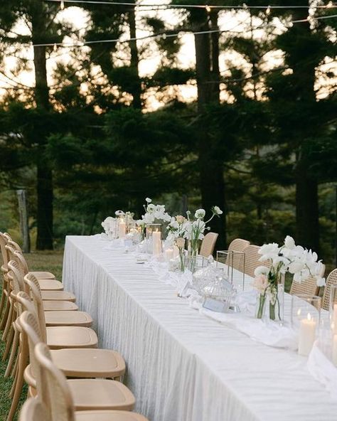 The Wedding Shed on Instagram: "Claudia & David’s magical reception in the Byron Bay hinterland✨🥂  Planning & Coordination @byronbayweddings Catering @figtreerestaurant Styling & Furniture Hire @theweddingshed Lighting @byronaudio Florist @pompandsplendour Hair & Makeup @alexoustonbeauty Photographer @reneegreen.studio Videographer @lemontreefilmhouse Stationery @signedbyshaun Venue A fabulous private property" Byron Wedding, Opia Byron Bay, Figtree Wedding Byron Bay, The Bower Byron Bay, Wategos Beach Byron Bay, Byron Bay Lighthouse, Private Property, Byron Bay, Boho Wedding