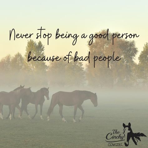 Western Quotes Inspirational, Cute Horse Quotes, Healing Habits, Country Sayings, Barrel Racing Quotes, Horse Jokes, Perseverance Quotes, Inspirational Horse Quotes, Western Quotes