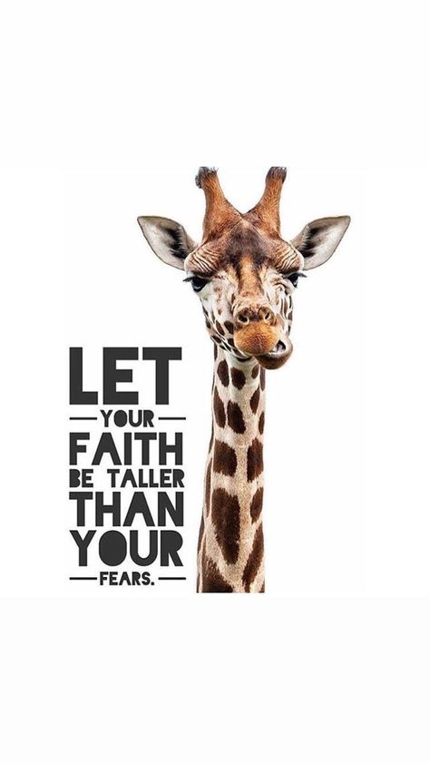 Giraffe Quotes, Be Taller, Giraffe Pictures, Barbie Quotes, Funny Giraffe, Giraffe Art, Cute Giraffe, Bible Verses Quotes, Bible Journaling