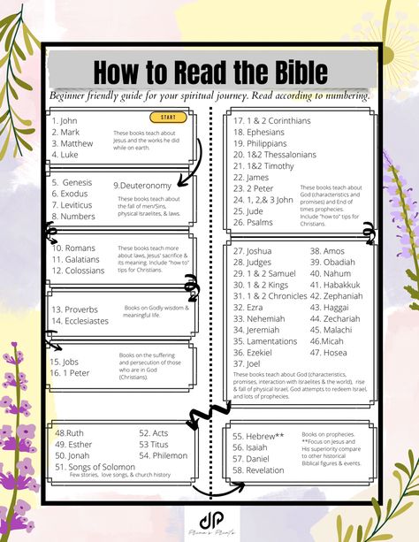 Bible Reading Methods, Where Should I Start Reading The Bible, How To Read The Bible In Order, What Order To Read The Bible, How To Start Reading The Bible, How To Read The Bible For Beginners, Bible Organization Ideas, Where To Start Reading The Bible, Order To Read The Bible