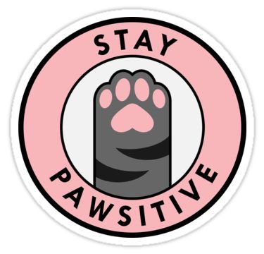 Stay Pawsitive Sticker, Funny Cat Stickers Printable, Be Pawsitive, Sticker Inspo Aesthetic, Cat Aesthetic Sticker, Homemade Sticker Ideas, Cute Cat Stickers Printable, Cool Stickers Art, Funny Sticker Ideas