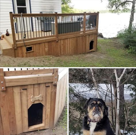 Dog House With Deck, Under Deck Dog House, Dog Kennel Under Deck, Under Deck Dog Area, Porch Organization, Rv Porch, Backyard Dog Area, Doggie Door, Dog Backyard