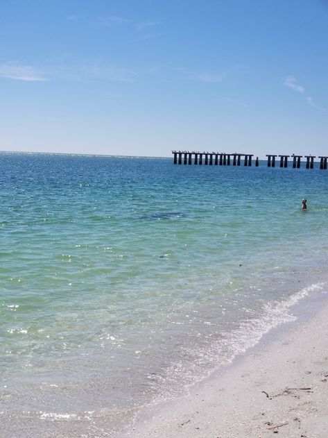 Beach View Room, Cayo Costa State Park, Boca Grande Florida, Gasparilla Island, Florida Pictures, Beach Weather, Beach Video, Beach Vacay, Beach View