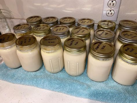 Pressure Canning Whole Milk, Canning Milk Pressure, Canning Sweetened Condensed Milk, How To Can Milk, Canning Evaporated Milk, Canned Recipes Ideas, Canning Milk Water Bath, Canning Alfredo Sauce Recipe, Canning Alfredo Sauce