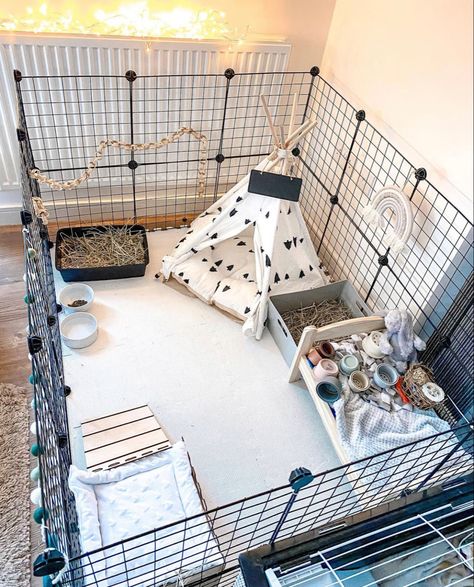 Rabbit Enclosure Indoor Ideas, Rabbit Cage Setup Indoor, Cute Bunny Enclosure, Bunny Area Ideas, Bunny Play Pen Ideas, Bunny Enclosure Ideas, Rabbit Home Ideas, Bunny Home Ideas, Rabbit Enclosure Ideas