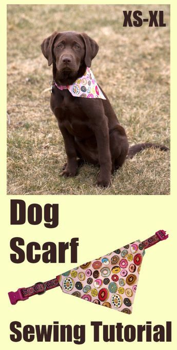 Dog Scarf | Charmed By Ashley Diy Doggie Bandana Free Pattern, Diy Dog Scarf, Sewing Projects For Dogs, Diy Dog Bandana, Dog Bandana Pattern, Puppy Scarf, Handmade Dog Accessories, Dog Neck Tie, Dog Neckerchief