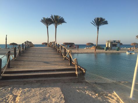 Marassi Beach #NorthCoastEgypt Marassi Beach, North Coast Egypt, Egypt Holiday, North Coast, Egypt, Quick Saves