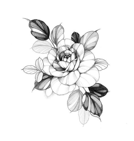 Linework Flower Tattoo Sleeve, Tattoo Flower Sketch, Peony Design Tattoo, Back Peony Tattoo, Flower Tattoo Reference, Tattoo Flower Linework, Peony Sketch Tattoo, Fineline Peony Tattoo, Fineline Flower Tattoo Design