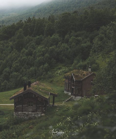 Norway its so beautiful 💚🍃🌲 #Innerdalen #Norway #nature #moody Norweigen Wood Aesthetic, Norway Countryside, Norwegian Aesthetic, Norwegian Countryside, Folk Aesthetic, Norway Aesthetic, Norwegian Cabin, Norwegian Landscape, Traveling Goals