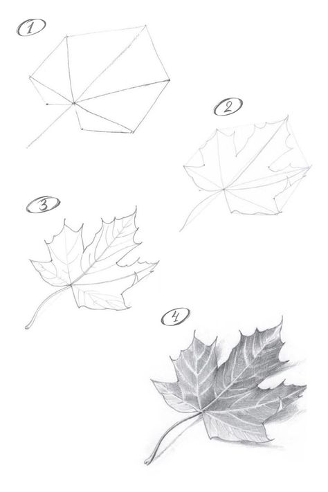 Leaves Sketch, Tutorial Painting, Pencil Drawings For Beginners, Flower Drawing Tutorials, Desain Quilling, Nature Art Drawings, Pencil Sketch Images, Cool Pencil Drawings, Leaf Drawing