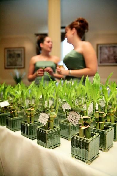 Bamboo Centerpieces, Centerpieces For Weddings, Lucky Bamboo Plants, Blue Weddings, Beach Wedding Flowers, Wedding Giveaways, Beautiful Beach Wedding, Lucky Bamboo, Beach Wedding Favors