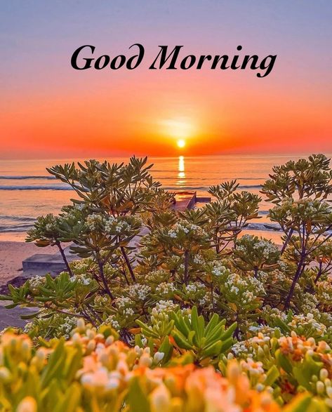 Good Morning Nature Sunrises, Sun Rise Pictures Mornings, Good Morning Nature Images, Good Morning Sun, Good Night Massage, Lovely Good Morning Images, Good Morning Arabic, Morning Nature, Good Morning Nature