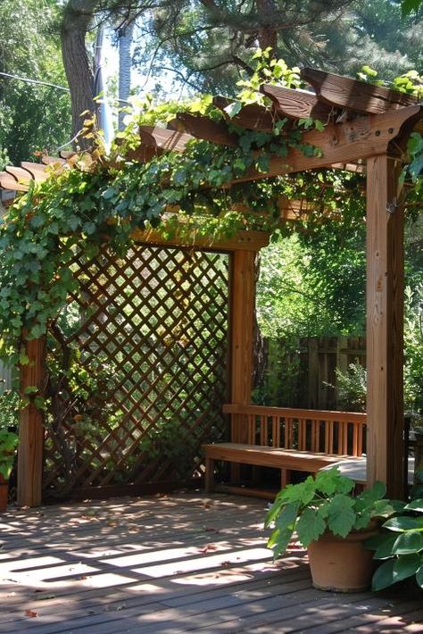 40 Privacy Fence Ideas: Stylish Solutions for a Backyard Retreat Cheap Diy Fence, Cheap Trellis, Diy Fence Ideas, Privacy Fence Ideas, Farmhouse Backyard, Backyard Gates, Fence Designs, Privacy Fence Designs, Small Patio Garden