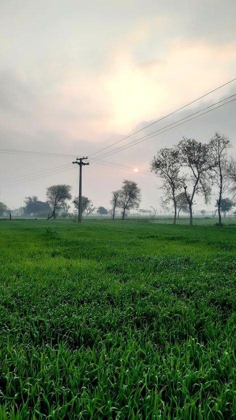 Village Morning Photography, Village Morning, Henna Easy, India Aesthetic, Cloudy Morning, Morning Photography, Village Photos, Easy Mehndi, Cloudy Weather