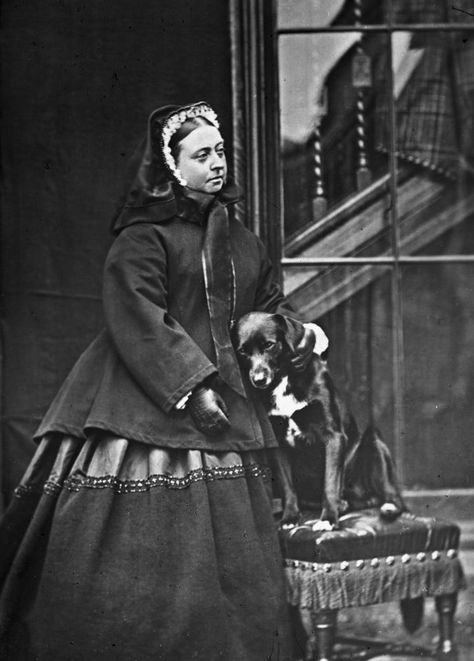 Queen Victoria of England with a favorite dog. Queen Victoria Family, Queen Victoria Prince Albert, Victoria Reign, John Brown, Royal Queen, English History, Isabel Ii, British Monarchy, Prince Albert