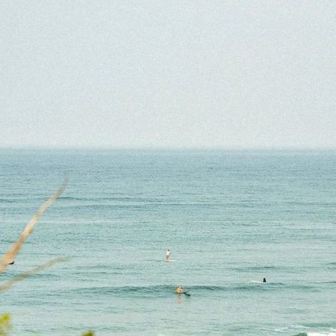 Throwback to Nauset this past summer 🏄‍♂️ Which beaches do you plan on visiting this year? 🌊 Comment below! Via @itll_buff_ou... | Instagram Nauset Beach, Coastal Life, March 16, Italian Summer, Cape Cod, Mood Board, This Year, Cape, How To Plan