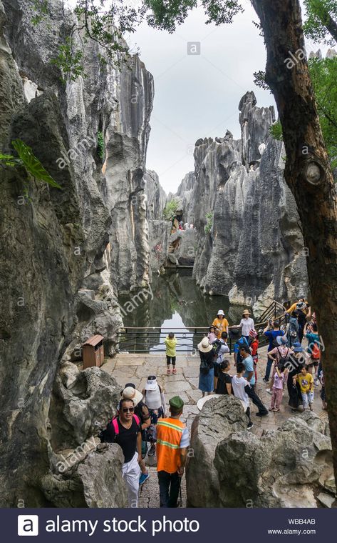 Download this stock image: Visit to the Stone Forest, Kunming, Yunnan province, China. Limestone formations located in the Shilin Yi Autonomous County.Taken on 8th August 2019. - WBB4AB from Alamy's library of millions of high resolution stock photos, illustrations and vectors. Stone Forest China, Kunming China, Stone Forest, Kunming, The Stone, Image Photography, Travel Bucket List, Travel Bucket, Mount Rushmore