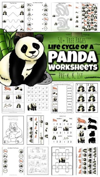 Thank You Mr Panda Activities, Panda Preschool Activities, Panda Bear Panda Bear What Do You See, Panda Bear Activities Preschool, Free Panda Printables, Panda Activities Preschool, Panda Bear Activities, Panda Crafts Preschool, Panda Crafts For Kids