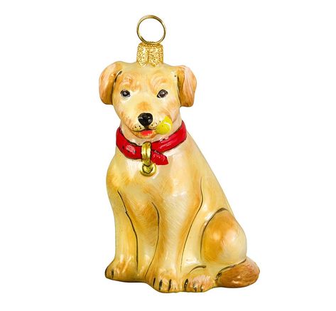 Yellow Labrador Retriever with Tennis Ball Polish Blown Glass Christmas Ornament *** You can get extra details at the image link. (This is an affiliate link). Frisbee Dog, Labradoodle Ornament, Golden Retriever Ornament, Yellow Labrador Retriever, Blown Glass Christmas Ornaments, Yellow Home Decor, Yellow Labrador, Yellow Lab, Dog Carrier