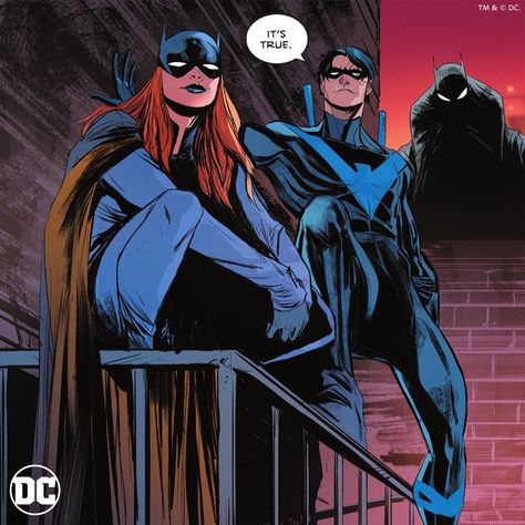 Nightwing And Barbara, Nightwing And Batgirl Matching Icons, Female Nightwing, Batgirl And Nightwing, Nightwing Batgirl, Batgirl Comic, Nightwing And Batgirl, Batgirl And Robin, Dc Batgirl