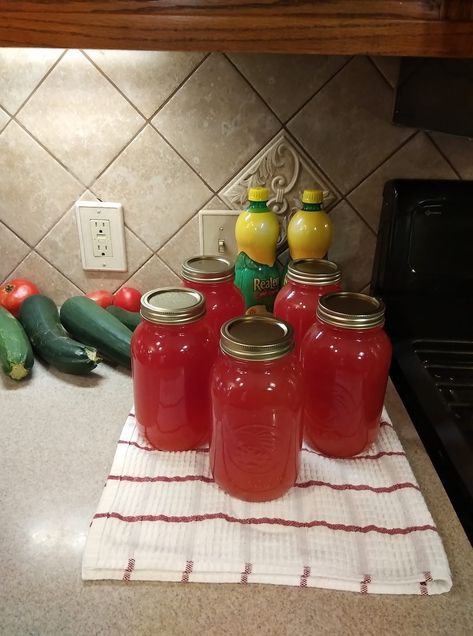 Refreshing Delights: Homemade Watermelon Lemonade Concentrate for Summer Sips Lemonade Concentrate Canning, Canning Watermelon, Lemonade Concentrate, Canning Recipe, Sweet Watermelon, Watermelon Lemonade, Fresh Watermelon, Watermelon Recipes, Watermelon Juice