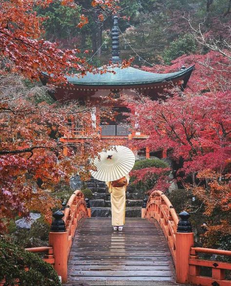 Osaka Japan Photography, Japan In November, Tokyo Temple, Japan Autumn, Japan Temple, Temple Photography, Late November, Vision Board Pictures, Japan Photography