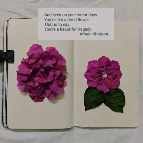 A Beautiful Tragedy ✨🌸 . . . . #art #journal #artjournalpage #aesthetic #writersofinstagram #artistsoninstagram #poetsofinstagram #pinterestindia #pinterest #afeenkhatoon #flowers #tragedy #beautiful @perfectapologies @sorjomagazine Art Journal Dried Flowers, Aesthetic Poems About Flowers, Tragedy Aesthetics, Poem Aesthetic, Poetry Journal, Aesthetic Poetry, Aesthetic Flowers, Worst Day, Journal Quotes