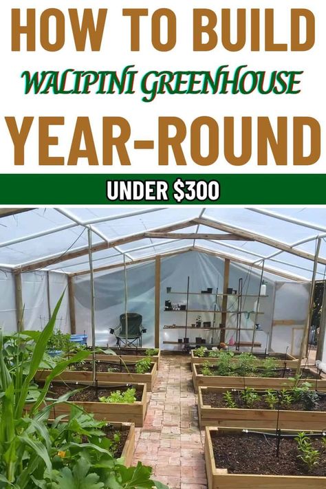 How to Build a Walipini Greenhouse for Growing Year-Round How To Build Your Own Greenhouse, Greenhouse Design Interior, Walipini Greenhouse Design, Walipini Greenhouse Diy, Building A Greenhouse Diy, Hidden Greenhouse, Pallet Greenhouse Diy, Greenhouse Warming, Diy Greenhouse With Old Windows