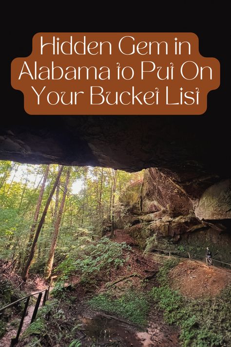 My husband and I recently stayed in Northwest Alabama for a week, and we came across this BEAUTIFUL short day hike. I promise you, this is one you'll want to add to your bucket list! #travel #travelblog #roadtrip #nature #travelphotography Alabama Hiking, Plastic Playground, Bucket List Travel, North Alabama, Outdoor Park, Natural Bridge, Mountain Town, Beautiful Shorts, I Promise You