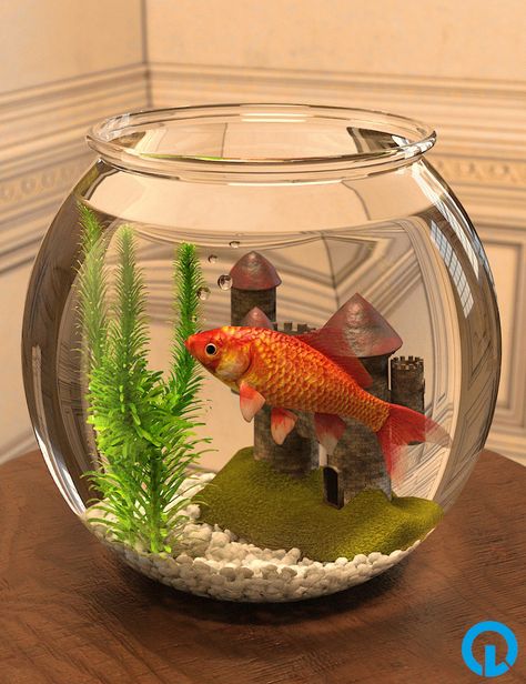 Water Centerpieces, Fish Tank Themes, Fish Tank Terrarium, Small Fish Tanks, Props Free, Fish Tank Design, Aquarium Stand, Cute Bedroom Decor, Tank Design