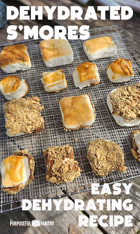 Dehydrated Roasted Marshmallow S'mores - The Purposeful Pantry Dehydrated Dessert Recipes, Dehydrated Marshmallows In Oven, Dehydrated Candy Recipes, Dehydrated Marshmallows In Air Fryer, How To Freeze Dry Marshmallows, Dehydrated Camping Meals, Dehydrated Desserts, Dehydrated Gifts, Dehydrator Meals