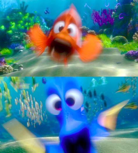 #FindingNemo (2003) - #Nemo #Dory Finding Nemo Movie Scenes, Finding Nemo Meme, Nemo Memes, Marlin And Dory, Dory And Nemo, Finding Nemo Movie, Nemo And Dory, Finding Nemo Characters, Blurry Pics