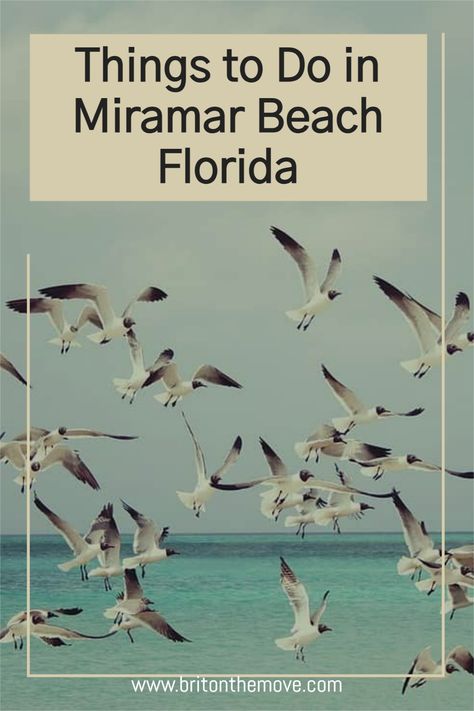 Are you looking to explore Florida’s Gulf Coast on your next getaway? Look no further than Miramar Beach, a gem tucked away between the bustling cities of Destin and Santa Rosa Beach along Florida’s Emerald Coast. Renowned for its stunning beaches, top-tier golf courses, and vibrant local culture, Miramar Beach has quickly emerged as a must-visit destination. #MiramarBeach #MiramarBeachFL #MiramarBeachFlorida Sandestin Florida, Miramar Beach Florida, Travel Florida, Florida Springs, Florida Restaurants, Miramar Beach, Emerald Coast, Clearwater Beach, Santa Rosa Beach