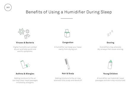 Humidifier Benefits, Fever Symptoms, Allergy Asthma, Asthma Symptoms, Nasal Passages, Stuffy Nose, Simpler Lifestyle, Air Purifying, Itchy Scalp