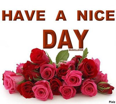 have a nice day Good Day Images, Good Morning Sunday Images, Photos Of Good Night, Good Morning Wishes Gif, Quotes Dream, Good Night Flowers, Happy Birthday Wishes Cards, Good Morning Roses, Good Morning Flowers Pictures