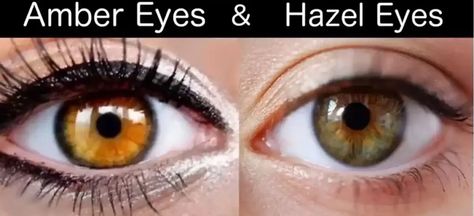 Honey Eyes Color, Amber Eyes Color, Rare Eye Colors, Honey Eyes, Rare Eyes, Change Your Eye Color, Beautiful Eyes Color, Amber Eyes, Deep Autumn