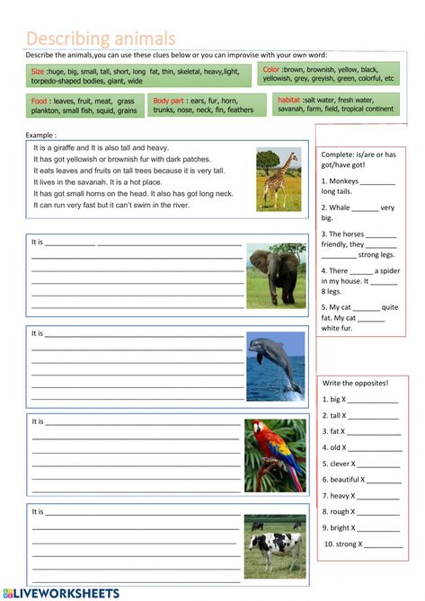 Descriptive Text, Descriptive Text Worksheet, Animals Worksheet, Animal English Worksheet, Animal Needs Worksheet, Describing Animals Worksheets, Uses Of Animals Worksheet, Where Do Animals Live Worksheet, Descriptive Writing Activities