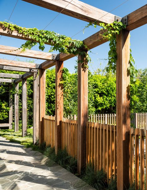 Japanese Pergola, Melbourne Garden, Decoration Tips, Interior Design Consultation, Melbourne House, Pool Fence, Garden Design Ideas, Side Garden, Australian Homes