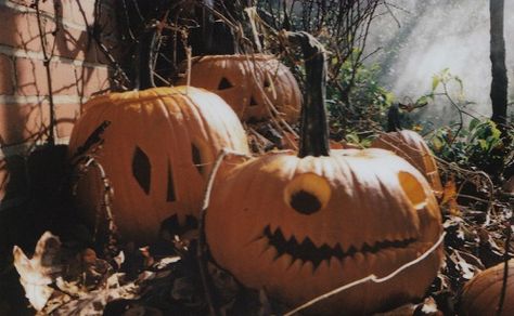 Pumpkins, Trees, Halloween