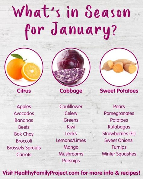 What’s in Season for January | Produce for Kids January Produce, January Fruits, What Fruits Are In Season, Mashed Potato Bites, Broccoli Lemon, Seasonal Produce Guide, Smoothie Popsicles, Healthy Potatoes, Baked Avocado