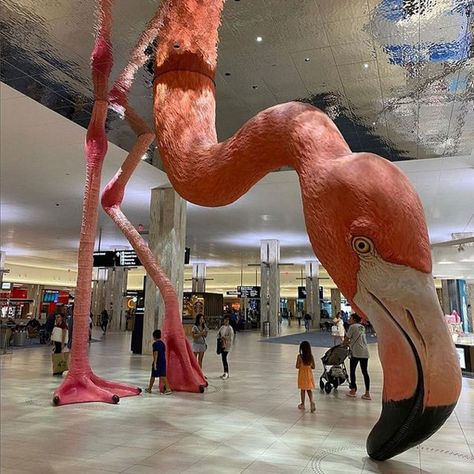 Tampa Airport Flamingo, Flamingo Sculpture, Master Shower Tile, Tampa Airport, Palm Royale, Flamingo Artwork, Tampa International Airport, Airport Design, Column Design