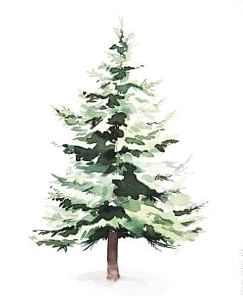 Paintings Of Christmas Trees, Watercolour Pine Trees, Water Colour Christmas Tree, Watercolor Pine Trees Simple, Evergreen Watercolor Trees, Winter Watercolor Simple, Evergreen Trees Watercolor, Watercolor Evergreen Trees, Watercolour Christmas Tree