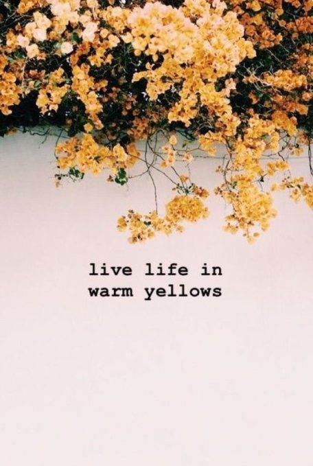 Twitter , aesthetic , yellow , words , quotes , yellow roses , outdoor Quotes Yellow, Flower Captions For Instagram, Nature Quotes Beautiful, Captions For Guys, One Word Caption, Instagram Post Captions, Twitter Aesthetic, Yellow Quotes, Yellow Words