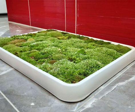 Big House Design, Moss Bath Mat, Bathroom Rug Decor, Jungle Bathroom, Door Carpet, Indoor Outdoor Bathroom, Moss Rug, Moss Plant, Outdoor Bathroom