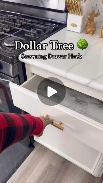 DollarTree.Goodies5&More on Instagram: "Easy Dollar Tree Seasoning Drawer Hack🔥🙌

Credits: @raenicolleee

Now all I need is some cute seasoning jars! 

#dollartree #dollartreefinds #dollartreediy #dollartreehacks #seasoningdrawer #organizationideas #organization #organizationhacks #kitchenorganization #homeorganization #organizewithme #asmr #asmrorganizing #asmrcommunity #kitchenhacks #clorox #lifehacks 

Are you asleep yet? 🥱" Best Spice Organization, Seasoning Drawer Organization, Diy Spice Drawer Organizer Dollar Store, Dollar Tree Seasoning Organization, How To Organize Spices In Small Cabinet, Seasoning Cabinet Organization, Dollar Tree Cabinet Organization, How To Organize Kitchen Drawers, Dollar Tree Spice Organization