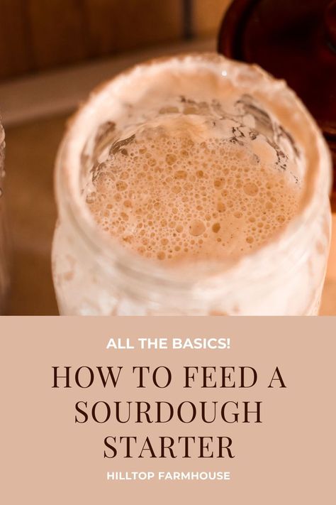 Sourdough Starter From Scratch, Gluten Free Sourdough Starter, Scratch Cooking, Dough Starter, Sourdough Bread Starter, Gluten Free Sourdough, Bread Starter, Sourdough Starter Recipe, Best Bread Recipe