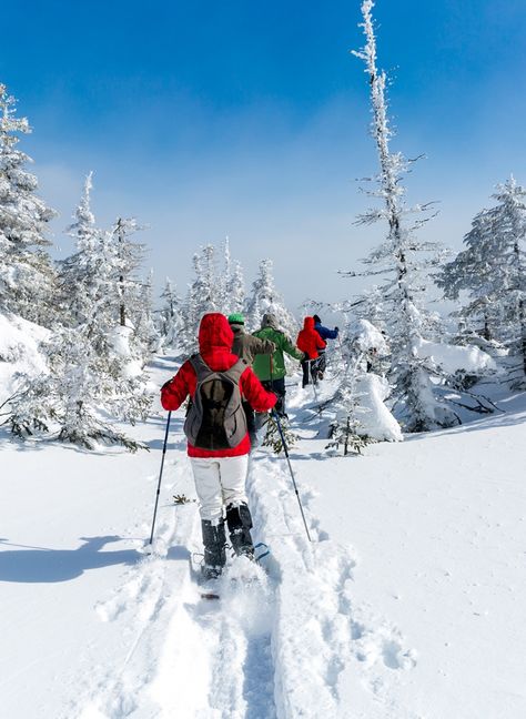 Snowshoeing - Snowshoe Trails Alta, Utah | Snowpine Lodge Notion Images, Alta Utah, Snow Shoeing, Alta Ski, Colorado Winter, Snowshoes, Winter Camping, 2025 Vision, Ski Area